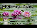 Relaxing Music for Meditation and Sleep | Calm Your Mind and Body