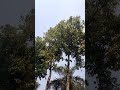 jindagi aur kuchh bhi nahin 🫂😘 Teri Meri kahani Hai 🤗#nature #subscribe