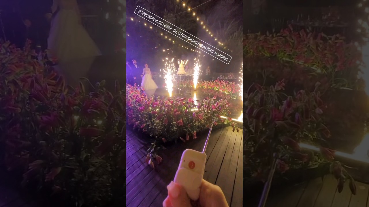 Artificii, lumina show, fum greu, nunta, фейерверки, танцоры, 