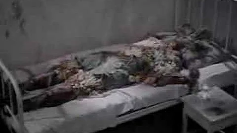 Svankmajer Jan - Flora [1989]