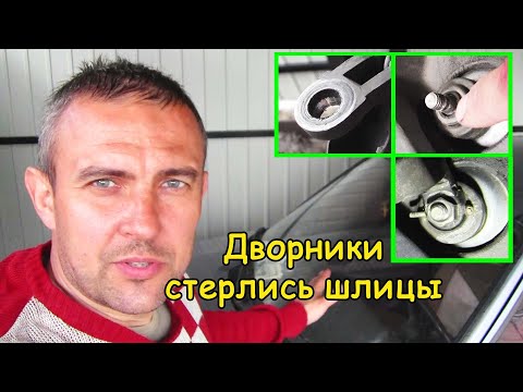 Video: Сүргүчтөрдү коргоо ыкмалары