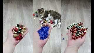 Cat Marbles Satisfying Reverse Video ASMR Funny Video