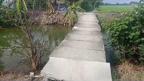 Bán 1120m2 đất lúa ấp 3 xã Tân ân cần đước long an.