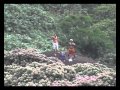 Agasthyahridayam kavitha / Agasthyakoodam