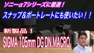 【マクロレンズ使いこなし！】シグマ 105mm F2.8 DG DN MACRO Art 新製品実写レビュー