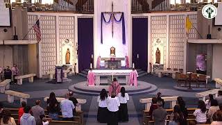 St. Pius Church Live Stream