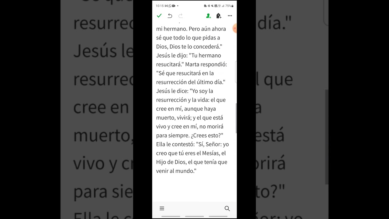 smar - Juan 11, 19-27 - EVANGELIO DEL DÍA en Latín, Español y Griego