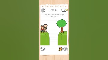 BRAIN TEST-3 LEVEL 73