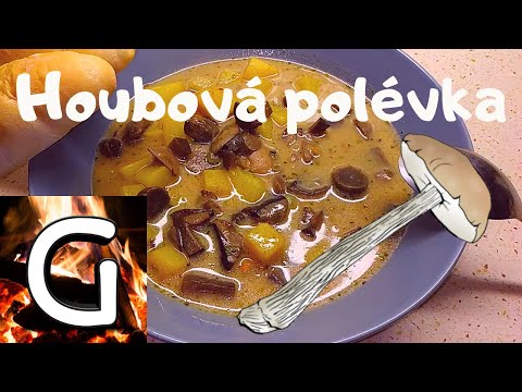 Video: Polévka Z čerstvých Lesních Hub V Pomalém Sporáku