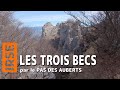 Les TROIS BECS Par Le Pas Des Auberts Forêt De Saou Massif Du Diois Drôme Les TROIS BECS Par Le Pas Des Auberts Forêt De Saou Massif Du Diois Drôme