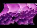 Samsung Logo Balls Feels Dizzy 
