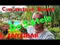 Am petrecut o zi într-un Resort de 5 stele în Zanzibar