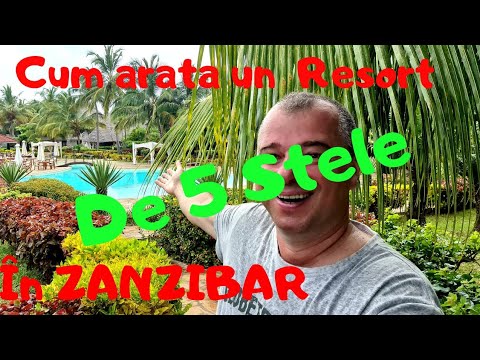 Video: Într-o Zi în Zanzibar - Rețeaua Matador