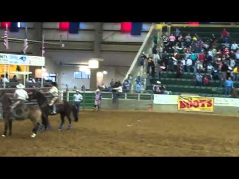 Williamston Rodeo-Bull in the stands-Anthony's Bday