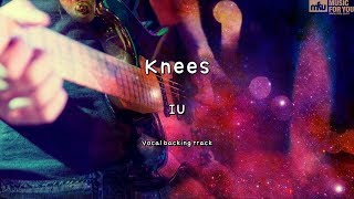 Knees - IU (Instrumental & Lyrics)