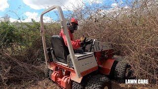 Mowing down 15FT TALL Thorn Bushes with the VENTRAC Tough Cut!  You won't believe this!