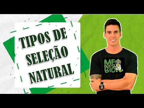 Vídeo: Como as mariposas salpicadas são um exemplo de seleção natural?