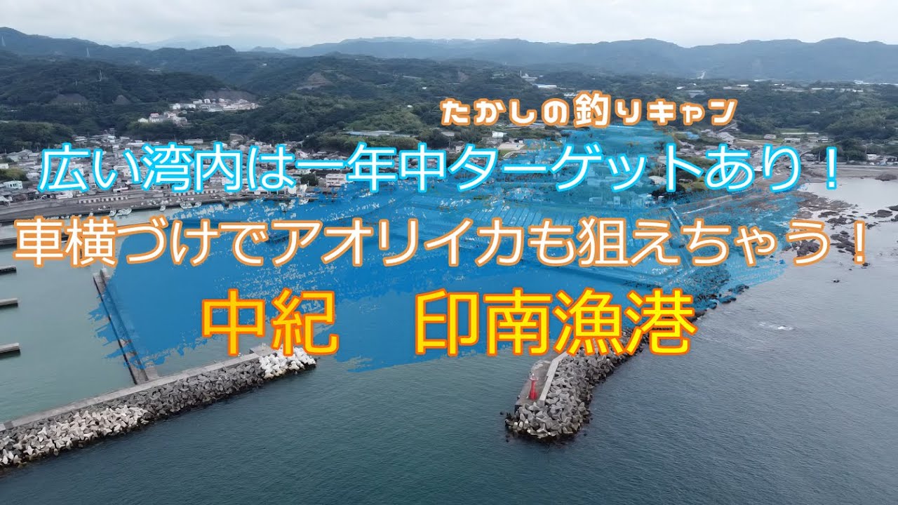 中紀 印南漁港　 広々とした漁港内で一年中ターゲットがいる！ 車横づけでエギングも可能！テトラからのルアーもポテンシャルあり！