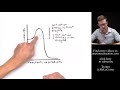 Understanding Enzymes and Their Function
