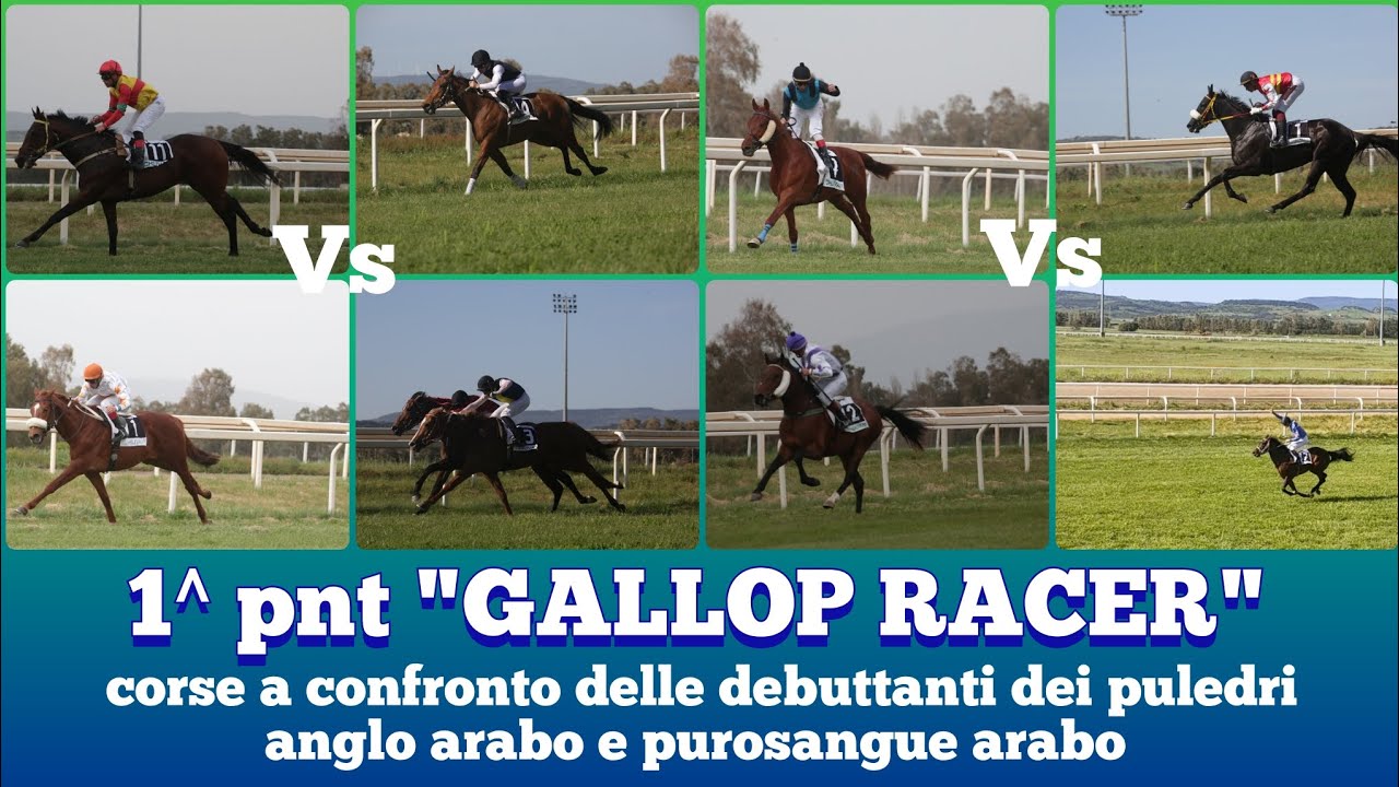 1^pnt"GALLOP RACER" analisi, confronto, studio delle corse, dei cavalli dell'ippica sarda e non solo