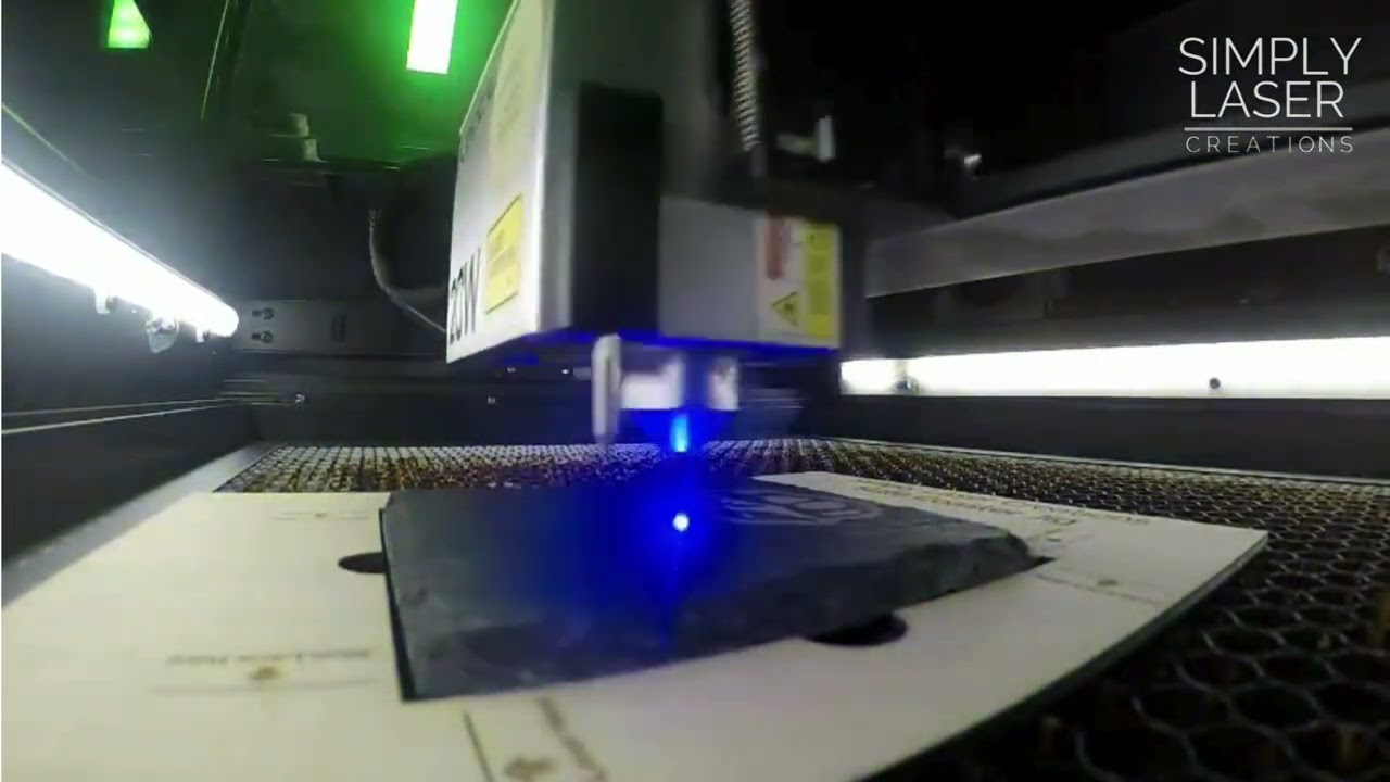 Time Lapse dinosaur skulls coaster