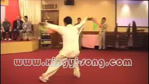 Linjiao Dao (麟角刀), Song Style Xingyi Quan (宋氏形意拳), Pei Jiangtao. Hong-Kong, 2005