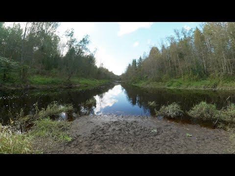Январская рыбалка на Ладоге Январская рыбалка на Ладоге