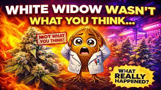 White Widow Wasn’t What You Think…