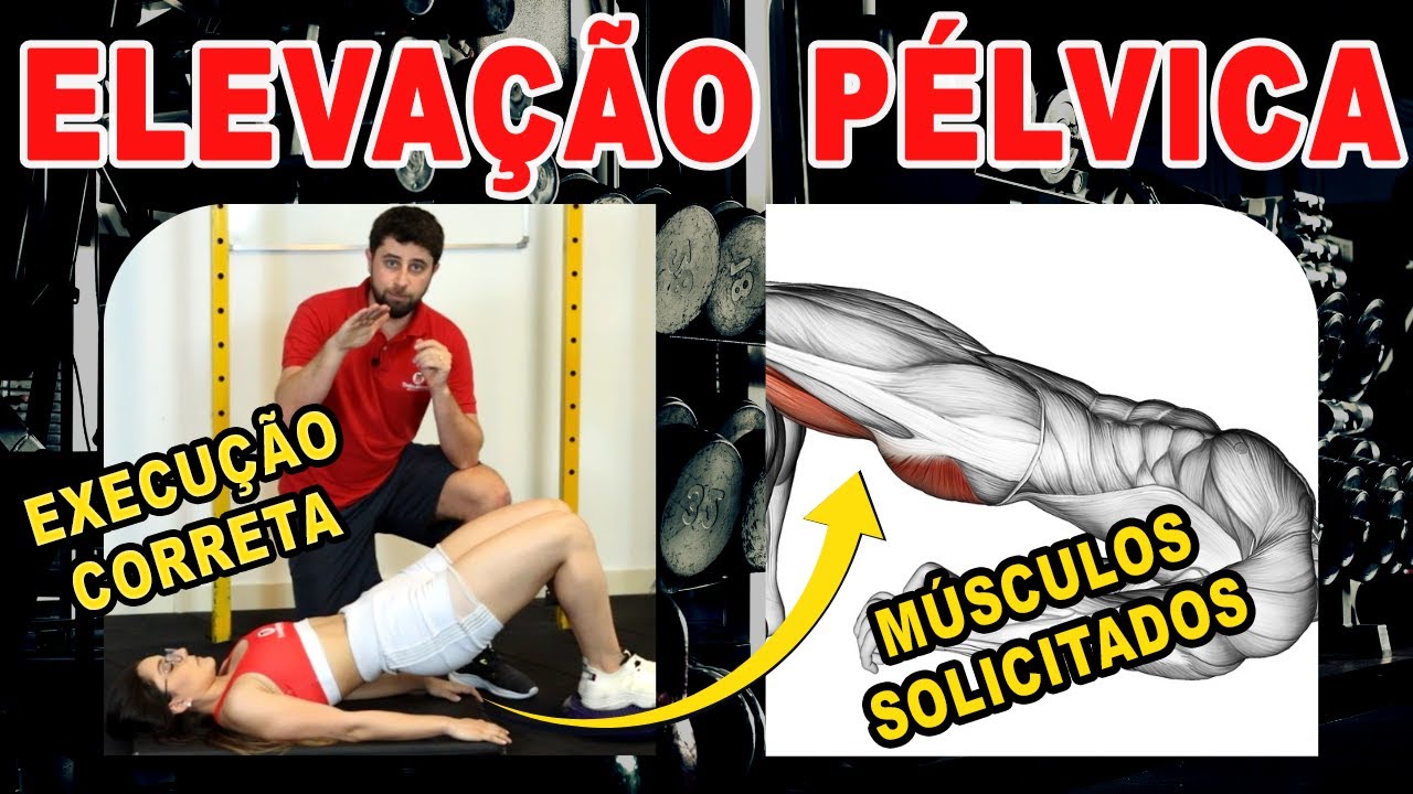 Academia BEM ESTAR - Treino glúteo avançado: elevação pélvica com barra  Coloque a parte superior das costas contra uma caixa ou banco com os  joelhos dobrados e os pés no chão. Coloque