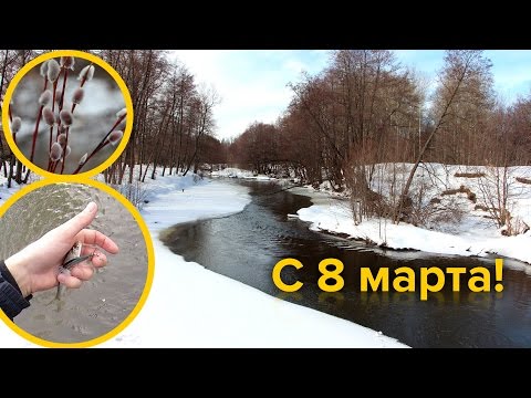 Лесные приключения. 8 Марта! (видео)