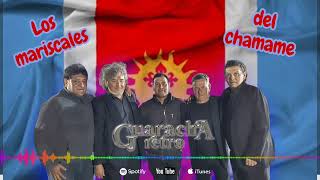 LOS MARISCALES DEL CHAMAMÉ /LA PREVIA 2025 🍺