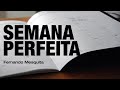 O guia da semana perfeita de estudos | Fernando Mesquita