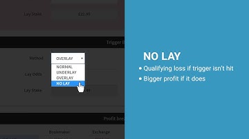 How To Use The Trigger Bet Calculator