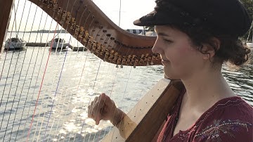 The Wellerman (Sea Shanty) - harp cover