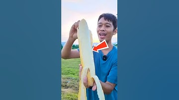 The Banana under the Microscope! 🔬 🍌