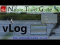 Ebro Delta Wetland Wildlife | vLog # 34 | Nature Travel Guide
