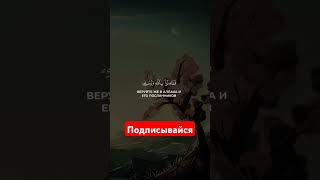 Сура Ан-Ниса Дусари #рекомендации #quran #нашид #топ #recommended