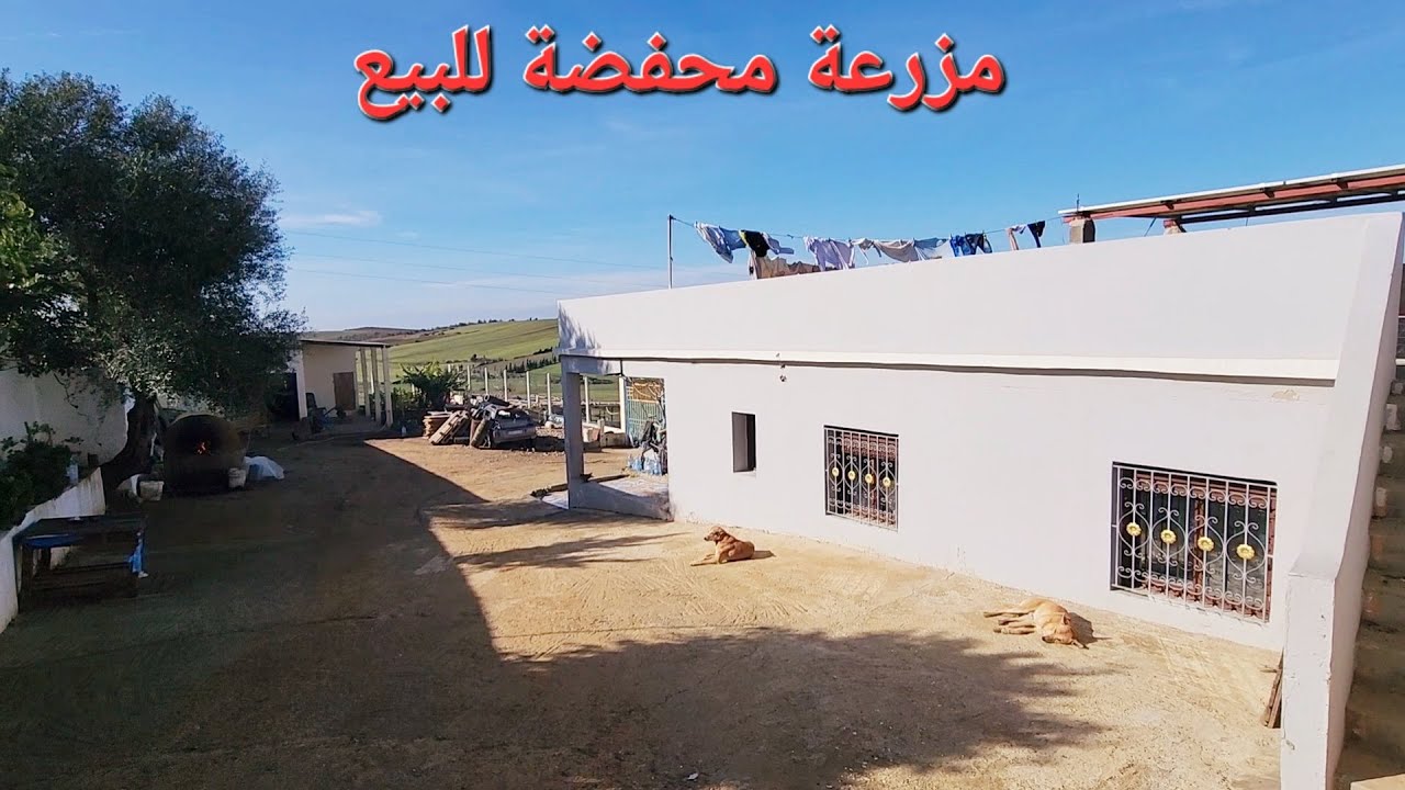 مزرعة للبيع برييش مسحتها 7500 متر محفضة