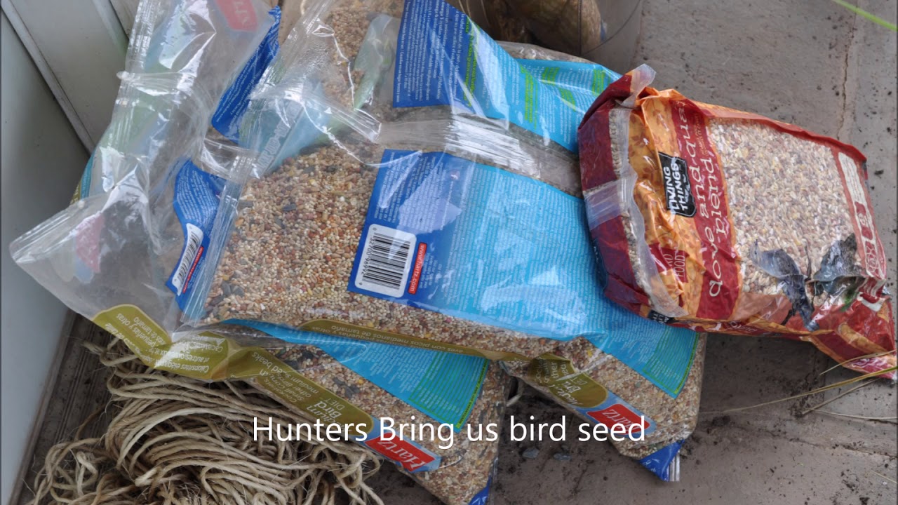 Barter for your Trees at Highland Hill Farm