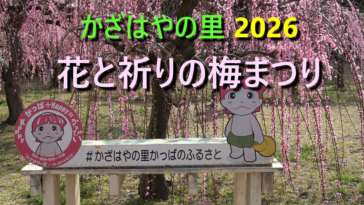 かざはやの里　2026 花と祈りの梅まつり