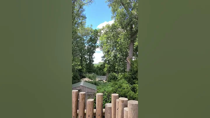 Marsha and Kevin ride the screaming eagle zipline ...