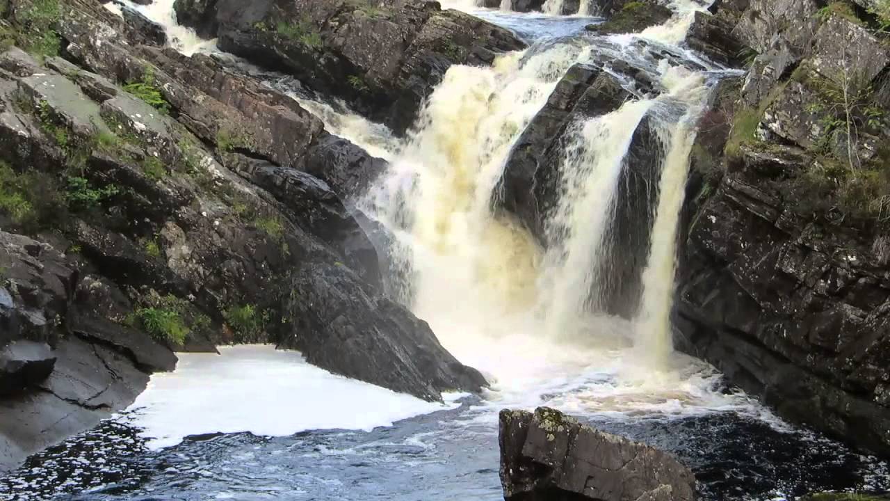 Salmon leaping the waterfalls at Rogie Falls in Scotland YouTube