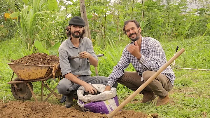 AGROFORESTRY COURSE | Lesson 19 Pt 2, Module 5 - Preparing the Soil | Food Forest COURSE |