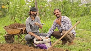 AGROFORESTRY COURSE | Lesson 19 Pt 2, Module 5 - Preparing the Soil | Food Forest COURSE |