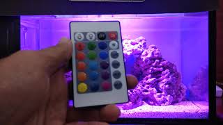 cara mudah membuat lampu aquarium dari bohlam led 5 watt