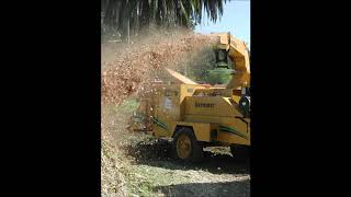 Wood Chipping Services Omaha Lincoln NE Council Bluffs IA| Eppley Handyman Services