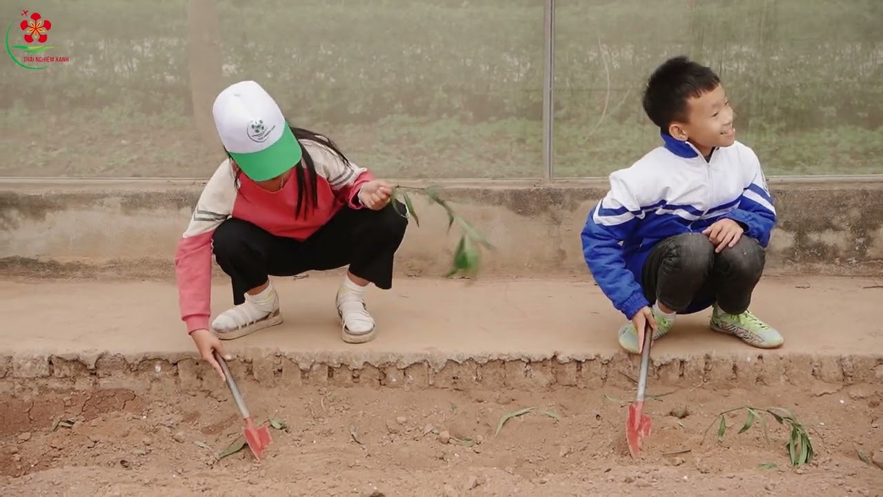 17/12/2023 Tiểu học An Thắng An Lão Hải Phòng