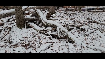 In the Barren Lands of Even Colder Coming 10/7/1446