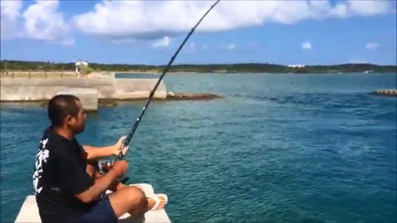 ロウニンアジ Gt 釣り 仕掛けと釣り方をご紹介 巨大魚gtを攻略 3ページ目 暮らし の