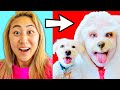 SWITCHING LIVES WITH MY DOG FOR A DAY!!